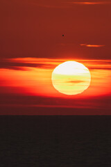 Fototapeta premium Sunset ocean