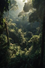 Fototapeta na wymiar Lights and Leaves in an indonesian jungle
