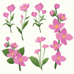 Fototapeta na wymiar set of pink flowers