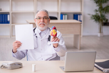 Fototapeta premium Old male doctor cardiologist working in the clinic