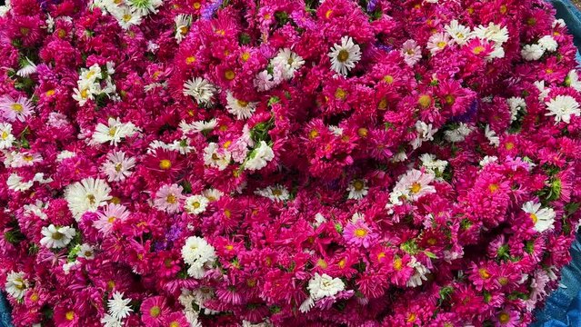 A shot of different colored daises made into a beautiful garland