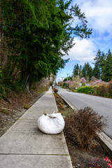 Spring cleanup of environmentally friendly Biofiltration Swale, Bioswale, bundle of plant clippings...