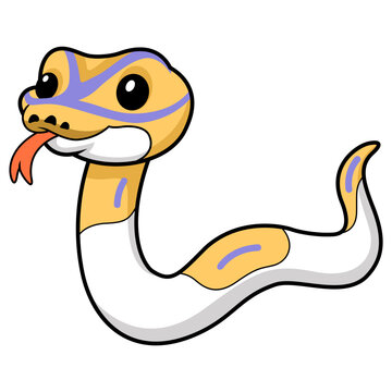 Cute banana pied ball python cartoon