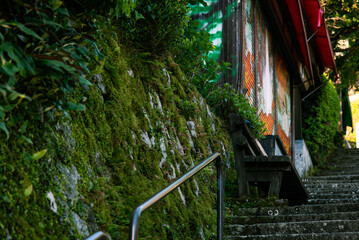 At the stairs on the way to Kumano Nachi-taisha Shrine