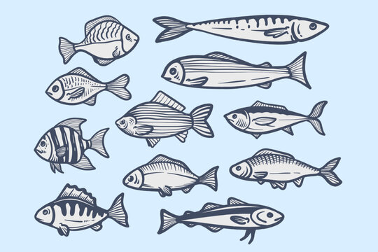 Hand Drawn Fish Sea Food Illustrations © Holismjd_