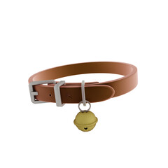 dog chain