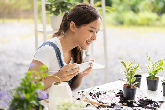 Hobby, asian young woman hand using mobile phone, cellphone taking photo of pot, houseplant with dirt soil on table at home, gardening tree plant in garden farm, green tropical, beauty and nature.