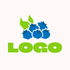 Hand Drawn Blueberry Fruit Logo - Vector