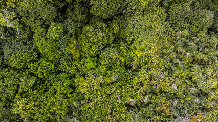 Naklejka premium Salinópolis Atalaia Salinas Pará Praia Cidade Litoral Amazonia Ruas Estrada Férias Feriado Viajar Viagem Paraense Salinopolis Para Paisagem Litoranea Aérea Drone Ônibus Carro Verão Veraneio