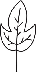 Leaf drawing