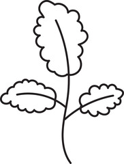 Leaf drawing