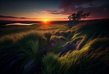 Au coucher du soleil, un paysage printanier-estival magnifique de prairie se déploie dans une région vallonnée. On y découvre un champ de jeune herbe verte et juteuse. Generative AI - obrazy, fototapety, plakaty