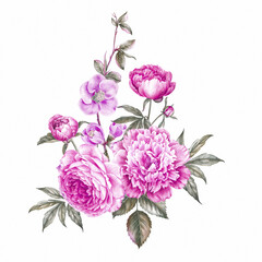 Pink watercolor roses bouquet. Bunch of flowers on a white background