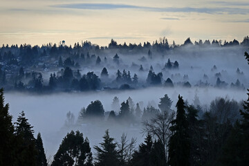 fog over the landscape