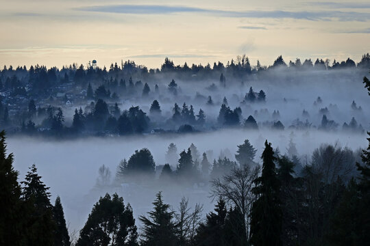 fog over the landscape © Robert