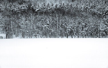 Naklejka premium winter,snow