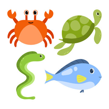 underwater animal vector collection