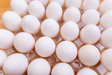 A pack of white egg