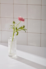 A small glass vase with pink flower branch decorated on white background with tile wall. The concept of bathroom, empty space for cosmetic product presentation. Copy space