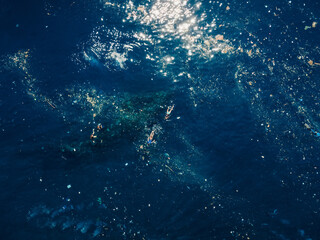 People swim and diving in plastic pollution on Liberty wreck ship in Tulamben, Bali.