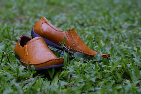 leather shoes against the background of green grass