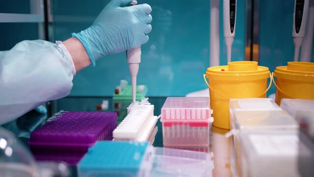 Doctor taking samples from blue tray and putting them in PCR tubes and from purple tray to yellow bucket. This work requires precision and careful and stady hands. High quality 4k footage 