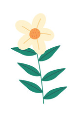 flower petals nature