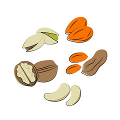 Nuts pistachio almond walnut cashew peanut collection, peanutisolated on white background. Cartoon Vector Icon
