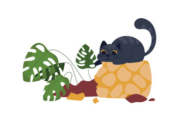 Cute kitten and broken houseplant