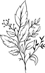 botanical leaf arrangement outline