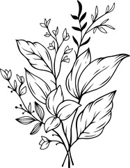 botanical leaf arrangement outline