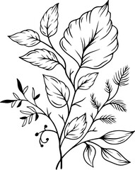 botanical leaf arrangement outline