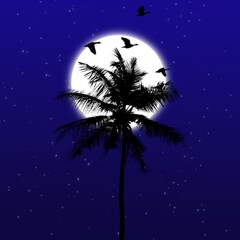 palm tree and moon at night sky with birds few and stars. Illustration and digital art.