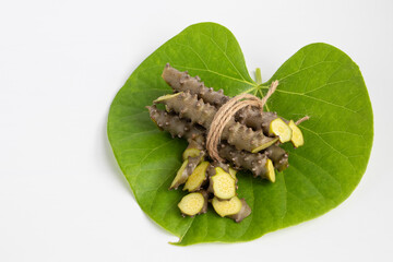 Fresh chopped Tinospora cordifolia herb (Heart leaved moonseed) isolated on white background.