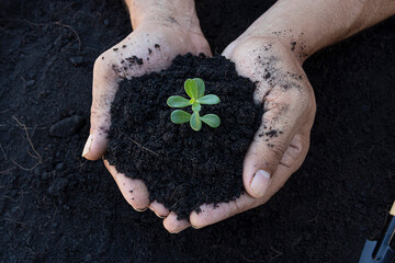 Fertile loam soil suitable for planting, soil texture background. Top view of fresh soil. Concept...