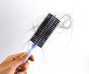 Woman hand holding a comb with hair loss on white background. Health care and medical, Hair loss problem concept. materials and natural hair.