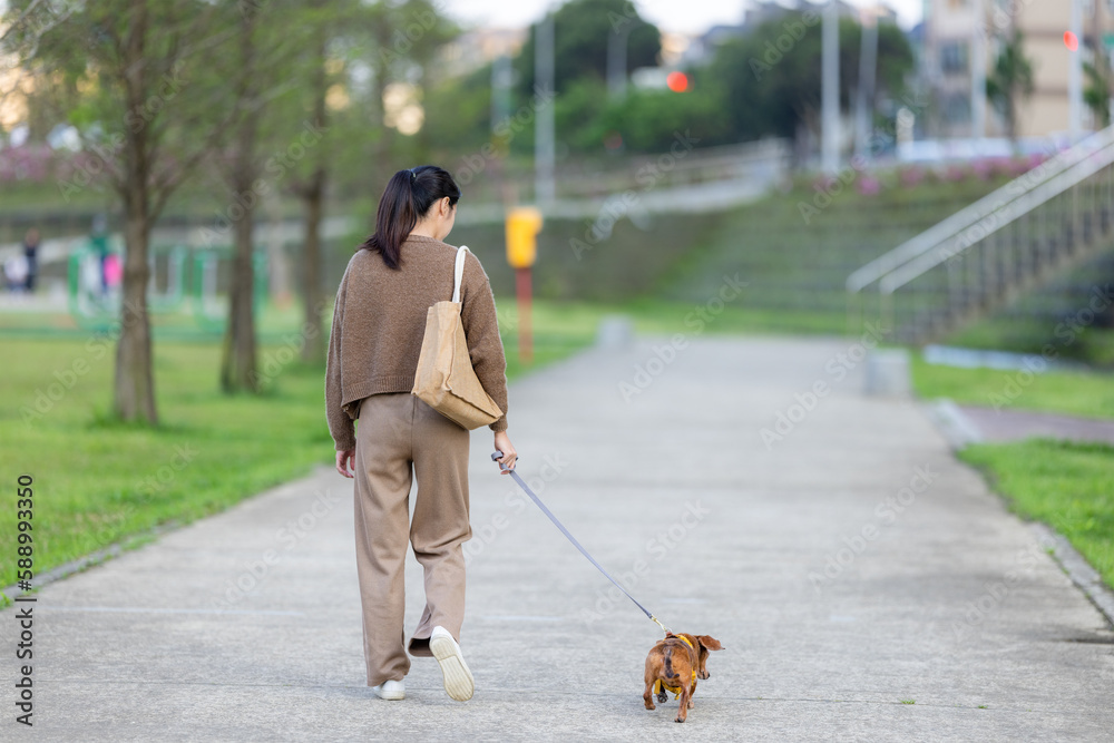 Sticker Woman walking with her dachshund dog at park