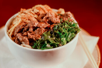 Oriental noodles with meat and chives