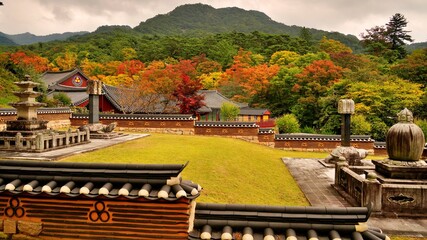 Autumn scenery of beautiful temples in South Korea