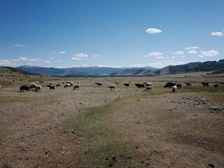 Mongolia