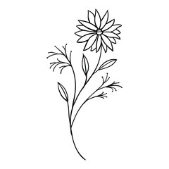 The illustration of hand drawing flower vector suitable for plants and flower icon, sign or symbol.