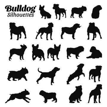 Set bulldog silhouette vector illustration.