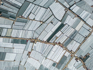 Antalya region greenhouse cultivation, greenhouse cultivation, production and rich agricultural...