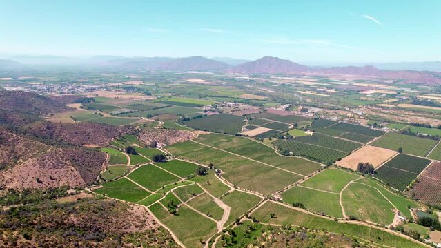 High aerial view over the vineyards of Peumo in the Cachapoal Valley, Chile, South America. Dolly forward
