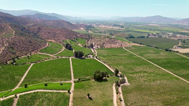 High aerial view over the vineyards of Peumo in the Cachapoal Valley, Chile, South America. Slow dolly forward