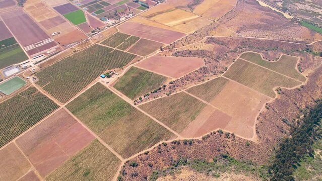 Aerial view establishing vineyard plots in the limari valley, arid zone of northern chile.