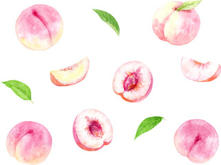 水彩で描いた桃のベクターイラストセット　