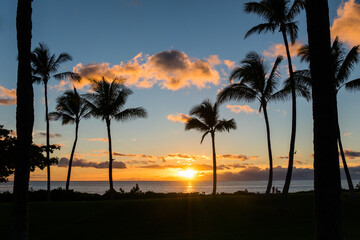 Fototapeta na wymiar Hawaii sunset
