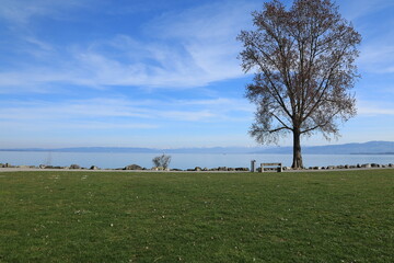 Sonniger Frühlingstag in Romanshorn am Bodensee