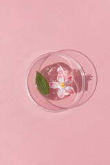 Facial serum or gel with hyaluronic acid with flowers and a green leaf in a Petri dish on a pink background. Concept of cosmetics laboratory researches, wellness, beauty and natural cosmetics